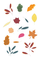 Doodle collection of tree leaves. Abstract bright leaves of various shapes and colours. Botanic fall season hand drawn doodle tree leaves set for seasonal design and holidays.