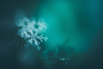 Delicate snowflake macro on soft turquoise background showing winter calm mood for holiday concept of christmas decor winter beauty seasonal design