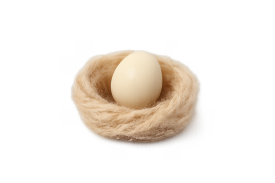Single white egg resting in bird nest on transparent background