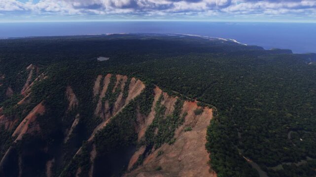 Side aerial drone view of Puu Ka Pele Forest Reserve in Hawaii. United States