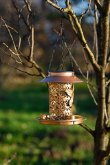 caring bird feeder morning tree eco metal outdoor detail structure habitat