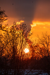 Sun setting behind winter trees with glowing clouds Germany, Munich, 21 November 2025