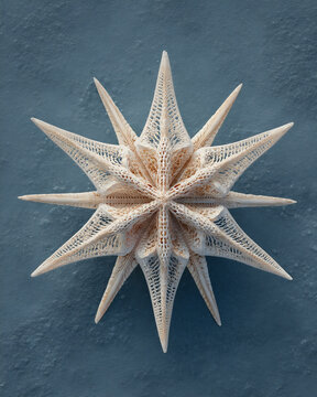 Intricately detailed starfish specimen displayed on a textured blue surface, showcasing nature's unique design and patterns