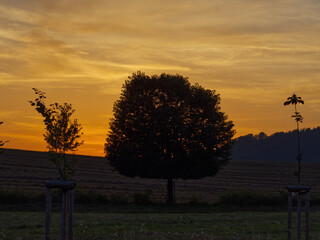 The image depicts a picturesque sunset over a rural landscape. The scene is characterized by the silhouettes of trees and hills against a bright orange and yellow sky.