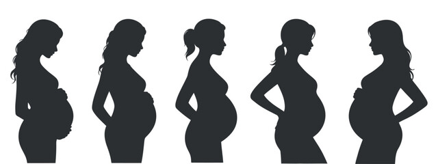 Pregnancy Silhouette of Pregnant Woman Stages Trimesters of Fetus Development Isolated on Transparent Background Clean Composition High Quality