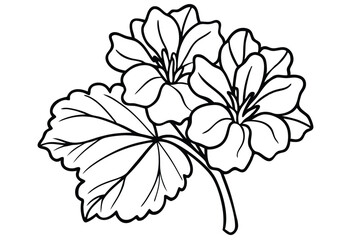 Black outlined flowers and leaves show a simple floral design on a white background