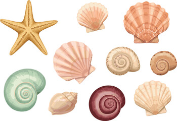 Sea shell and starfish cartoon vector set, marine icons, beach elements, spiral and scallop shapes, flat illustration