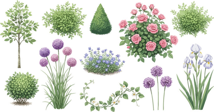 A watercolor illustration of various garden plants and flowers on a white background design element