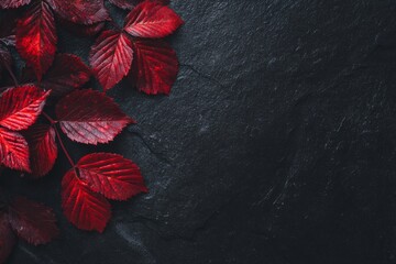 The autumn season provided a backdrop for capturing vibrant red leaves on a slate surface that had a distinctive texture in a natural environment