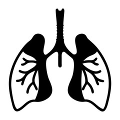 Human lungs with trachea and bronchi, illustrating the respiratory system anatomy