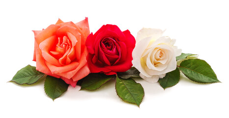 Three different colored roses.