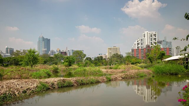 sunny day bangkok city center famous park garden pond skywalk top panorama 4k timelapse thailand