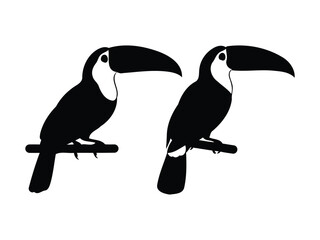 Obraz premium Two black toucan silhouettes perched on a branch, tropical bird icon illustration