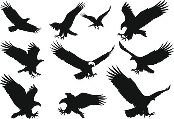Collection of silhouetted eagles in flight various poses against a white background