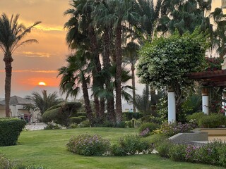 A magnificent golden sunset among palm trees, green lawns, and trimmed bushes of a well-kept hotel