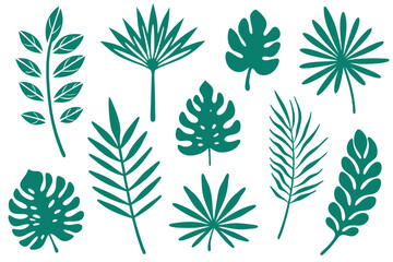 Collection of various silhouette tropical leaves showing different shapes and sizes in an elegant display