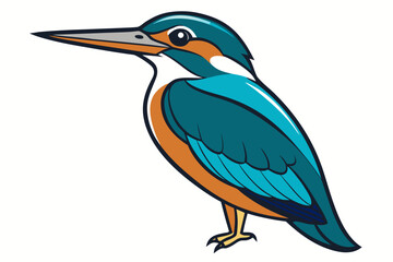 kingfisher bird vector art white background