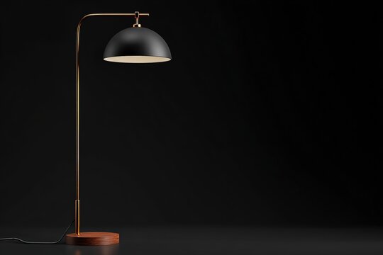 Modern floor lamp with matte black dome shade brass stem and walnut circular base
