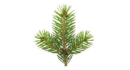 Naklejka premium Fresh Green Christmas Tree Branch on a Transparent Background PNG Image