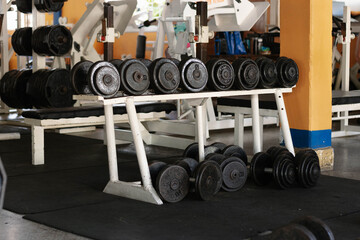 Rows of heavy dumbbells on a rack in a gym, reflecting a dedicated fitness and strength training environment