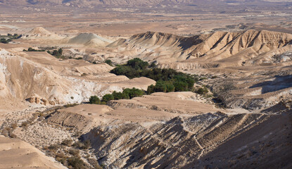 Panoramic view of oasis in the Negev Desert nature reserve, created by Ein Zik spring. Rare phenomenon in dry desert area. Negev mountains in the background. A popular hiking area for a whole family..