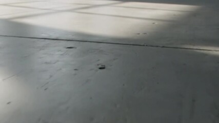 Morning coffee brewing scene with a pour-over setup, showcasing tools and warm sunlight streaming in