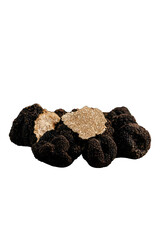 Premium black truffle showcased as a gourmet delicacy
Whole and sliced black truffle presented as a luxury ingredient
Rare black truffle highlighted as an exclusive culinary product