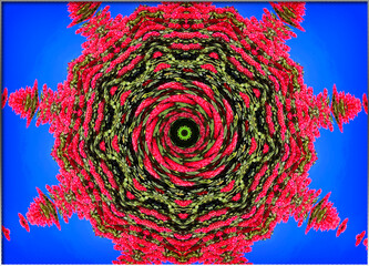 A symmetrical pattern radiates with vivid colors, resembling a kaleidoscope. The intricate design features layers of red, green, and blue.