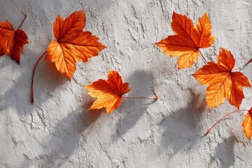 In a serene setting, the golden hour transforms autumn leaves into artistic impressions on a textured wall