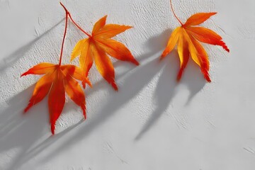 Autumn leaves on a textured wall form artistic impressions during the golden hour in a peaceful atmosphere