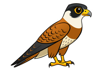 Falcon bird cartoon art vector illustration