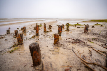 A series of rusted wooden posts stand in a muddy, deserted beach under an overcast sky, St Peter Ording, North Sea, Germany