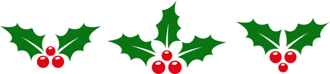 Holly berry leaves. Christmas decorations with holly berries. Greeting card.Vector