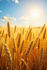 Fototapeta premium Golden wheat field shimmering under a bright summer sun, ready for harvest Abundant crop, ripe and golden, swaying gently in the breeze A bountiful harvest awaits , harvest, golden rays