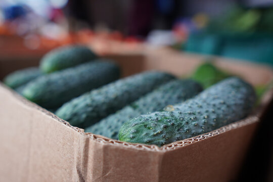 Fresh cucumbers in a cardboard box at a local market during the morning hours near the bustling produce section