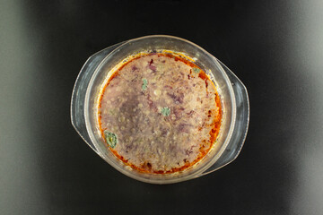 Close-up view of spoiled borscht in a bowl, showing patches of mold beginning to spread across the surface.