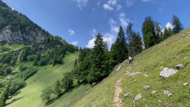 Wanderer auf dem Weg zur Staudacher Alm, Chiemgau, Alpen, Bayern, Deutschland