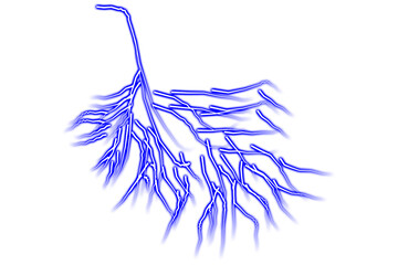 Abstract blue lightning branches against a black background