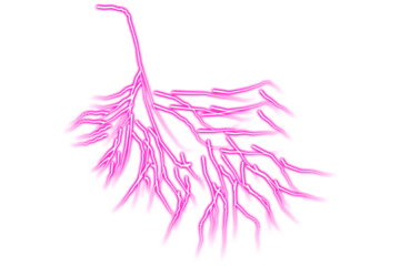 Vibrant pink branching structures against a dark background