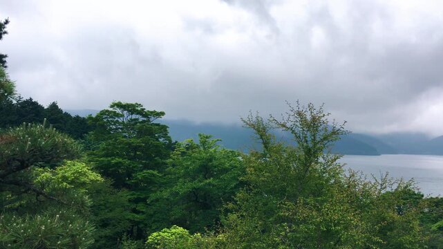Hakone park and vegetation along Lake Ashi