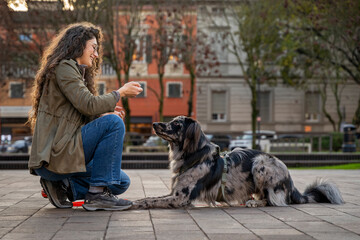 The owner crouches down and talks to her attentive merle dog during an obedience training session in an urban area.