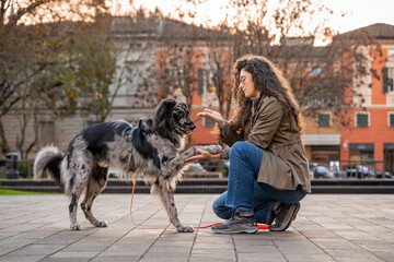 Woman teaching a blue merle dog tricks on a city square pavement