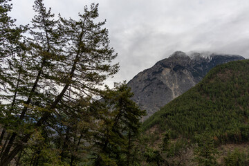 Obraz premium Serene Mountain Scene With Pine Forests in BC, Canada Under Cloudy Sky