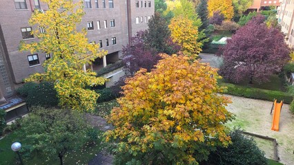 Vibrant autumn colors in urban courtyard setting for seasonal inspiration
