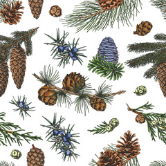 Fototapeta premium Conifer trees branches with cones collection hand drawn vector seamless pattern, pine, Cypress, fir, Juniper sketch