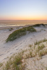 Dünen und Strand an der Westküste von Jütland in Dänemark bei Sonnenuntergang