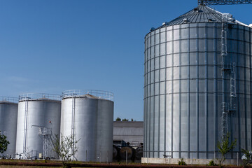 Metal grain silos stand tall against a clear blue sky, showcasing agricultural storage facilities in a rural area