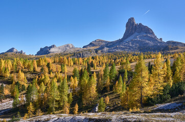 Autumn landscape with iconic rock mountain Becco di Mezzodi. Golden larch trees in the foreground. Family vacation in Dolomites.
