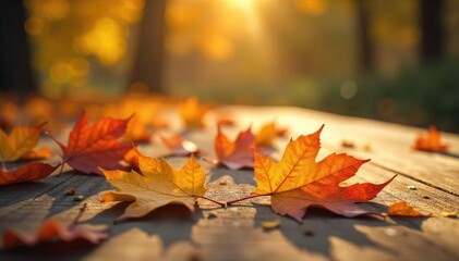 Serene autumn leaves scattered on a wooden surface, bathed in soft sunlight, evoking feelings of peace and tranquility Ideal for wellness, spa, nature, and autumn themes , foliage, birch, fall