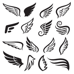 black and white wings vector design 